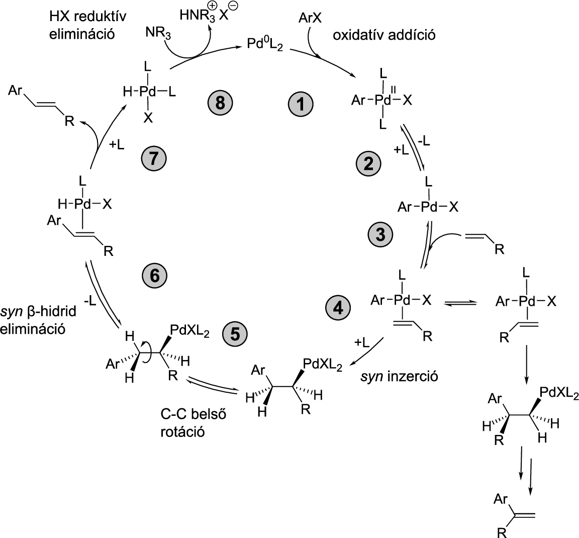 \includegraphics[width=1.0\textwidth]{keresztkapcs/heckmech_hu}