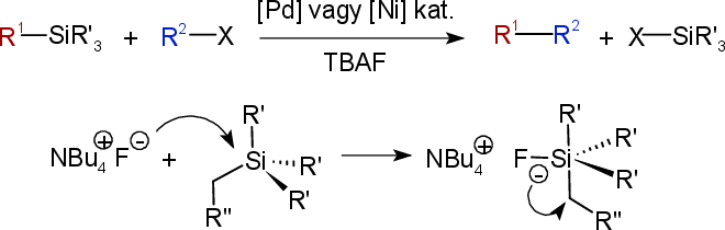 \includegraphics[width=70mm]{keresztkapcs/hiyama_eq}