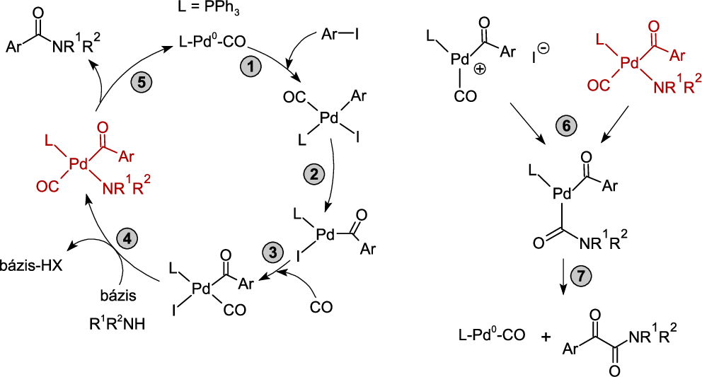 \includegraphics[width=105mm]{keresztkapcs/aminocarb_mech}