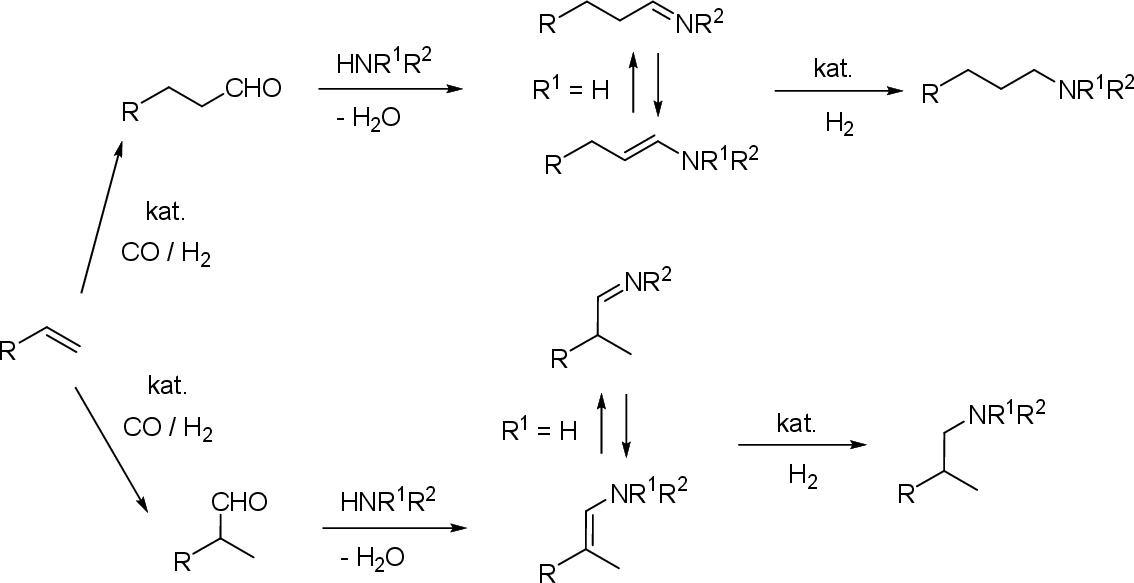 \includegraphics[width=0.98\textwidth]{hidroformil/hidroaminomet}