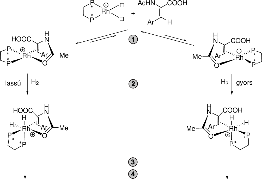\includegraphics[width=0.87\textwidth]{hidrogen/ldopamech}
