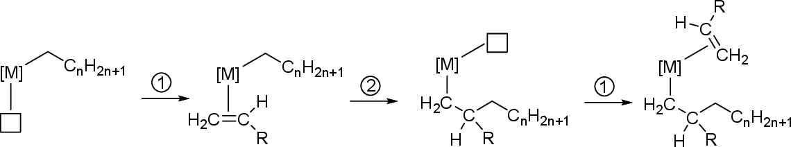 \includegraphics[width=0.99\textwidth]{polimer/coseearlman}