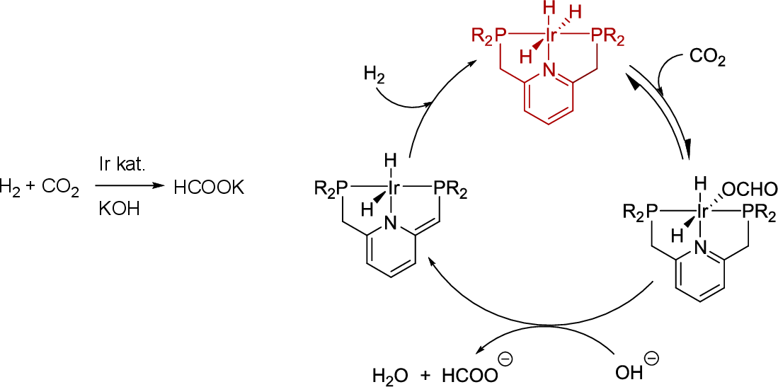 \includegraphics[width=0.95\textwidth]{co2/IrHpincer}
