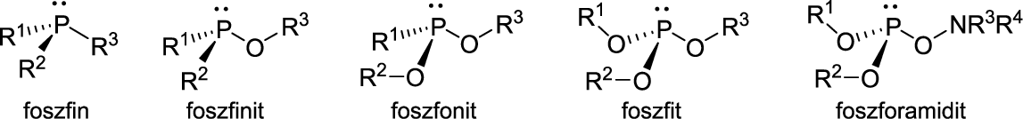 \includegraphics[width=0.99\textwidth]{ligands/pdonortipusok}